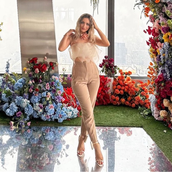 Zara Tops Zara Organza Crop Top Poshmark